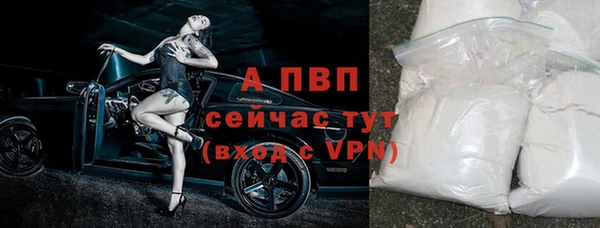 таблы Богданович