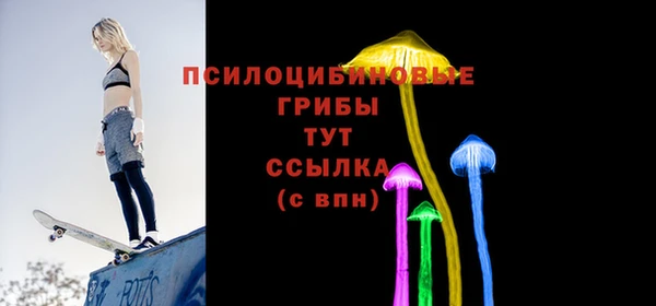 таблы Богородицк