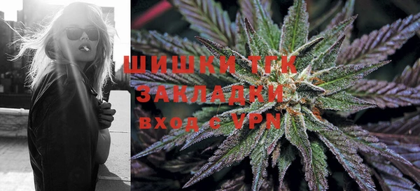 спайс Богородск
