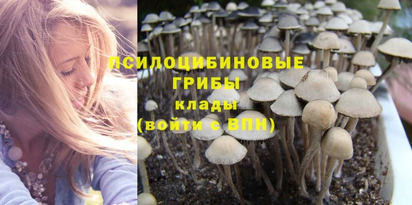 таблы Богданович