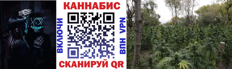 МАРИХУАНА сатива  Братск 